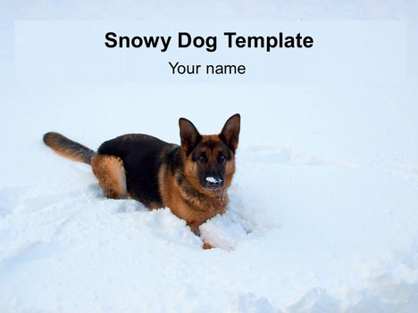 Snowy Dog Template