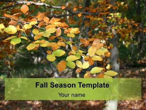 Fall Season Background Template