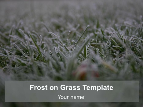 Frost on Grass Template