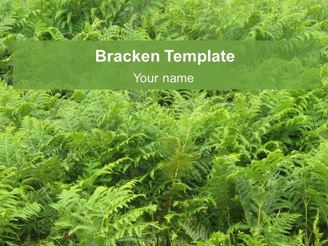 Bracken PowerPoint Template