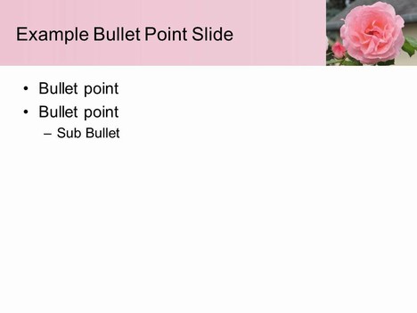 Pink Rose PowerPoint Template inside page
