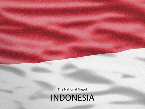 Flag of Indonesia Template