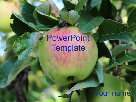 Apple PowerPoint Template