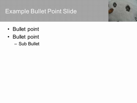 Dog Footprints Template inside page