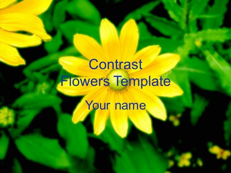 Contrast Flowers Template