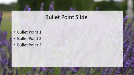 Lavender Fields Powerpoint Template inside page