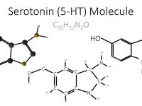 Serotonin (5-HT) Molecule PowerPoint Template