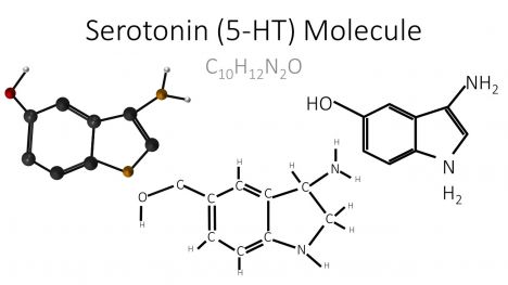 Serotonin (5-HT) Molecule PowerPoint Template