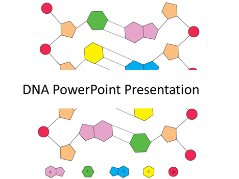 DNA PowerPoint Template thumbnail