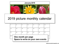 2019 Picture Calendar