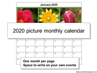 2020 Picture Monthly Calendar