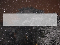 Winter Night-Time PowerPoint Template thumbnail