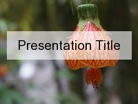 Lantern Flower PowerPoint Template thumbnail