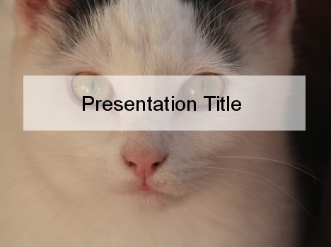 White Cat PowerPoint Template