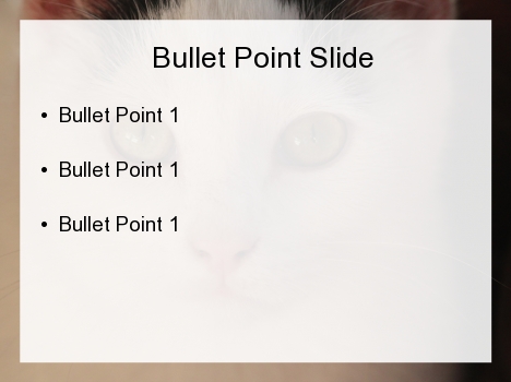 White Cat PowerPoint Template inside page