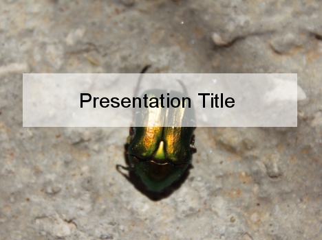 Shiny Beetle PowerPoint Template