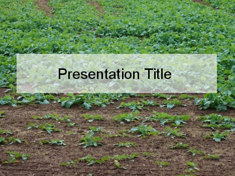 Soil Health PowerPoint Template