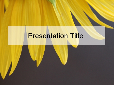 Yellow Petal PowerPoint Template